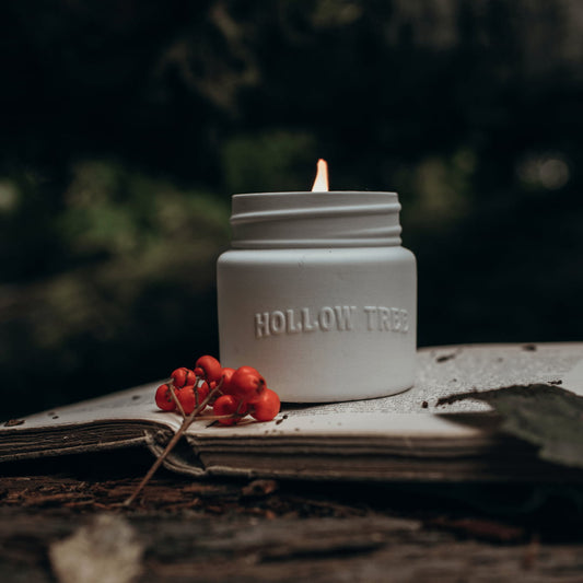 Amour Candle - Pomegranate Noir | Pink Pepper | Cedar - Hollow Tree Candle Co