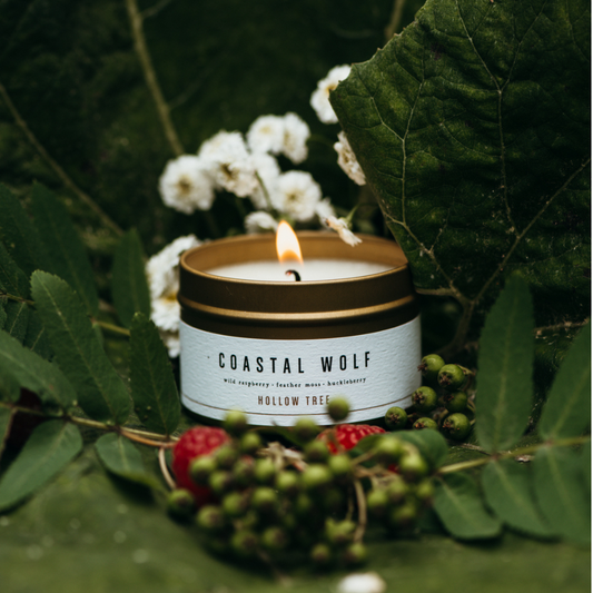 Coastal Wolf Travel Candle - Hollow Tree Candle Co