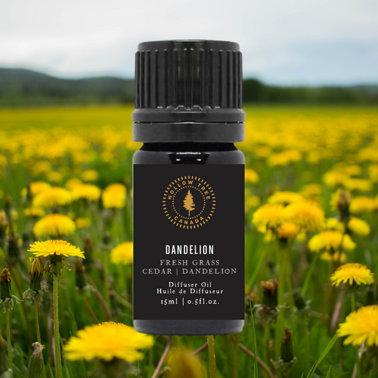 Dandelion - Diffuser Oil