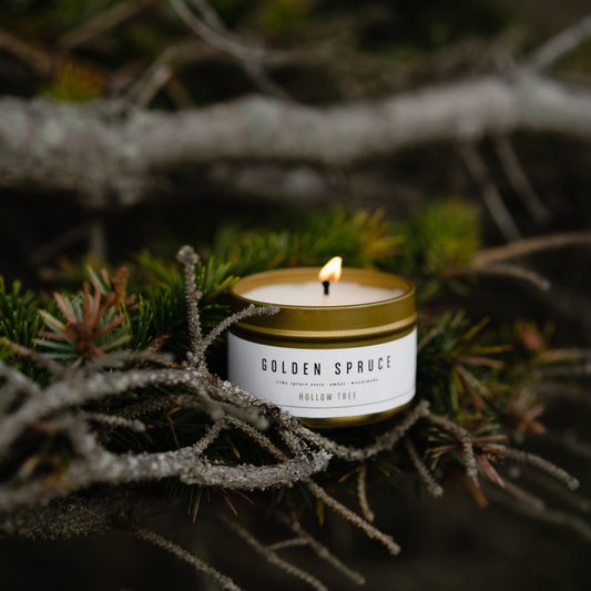 Golden Spruce - Travel Candle