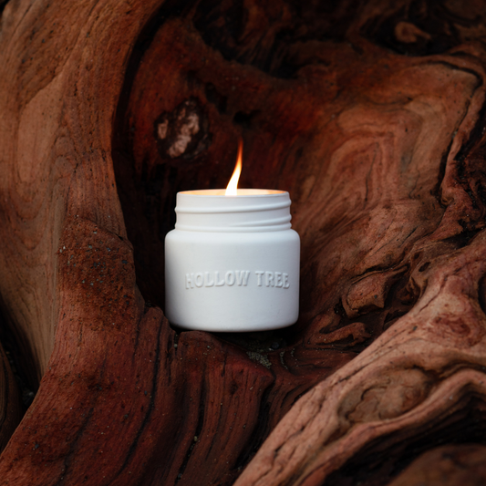 A ceramic candle with the label 'HOLLOW TREE' lit and placed on the hollows of a tree