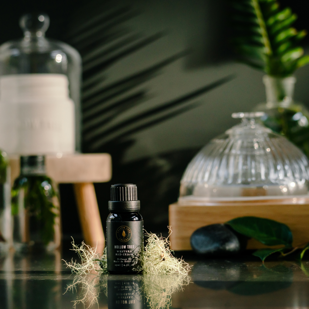Hollow Tree Diffuser Oil - Western Red Cedar