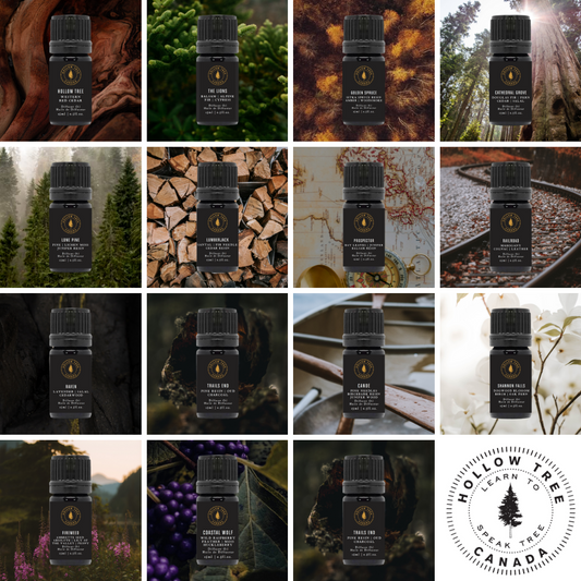 Signature Collection Series Diffuser Oil - 15 x 15ml