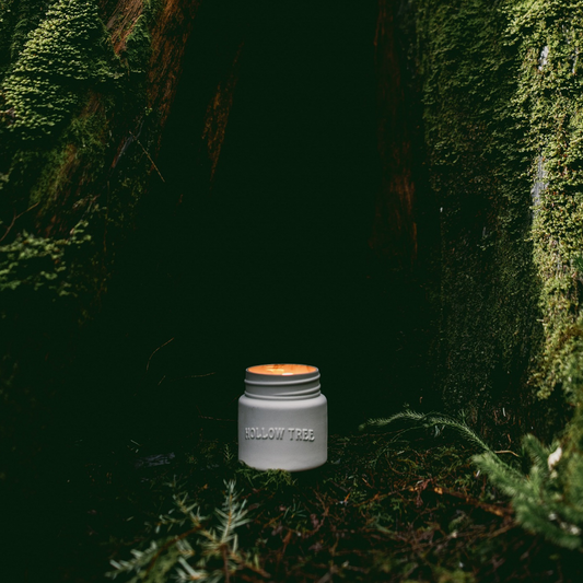 Cathedral Grove - Ceramic Candle