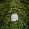 Off-white candle jar with lid and label reading 'HOLLOW TREE'