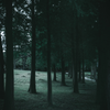 Boreal Forest Candle