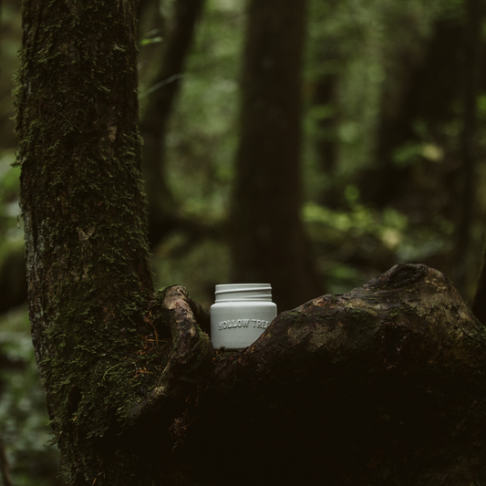 Boreal Forest Candle