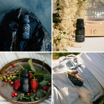 Backpacker Series - Diffuser Oil Bundle (Set of 4)