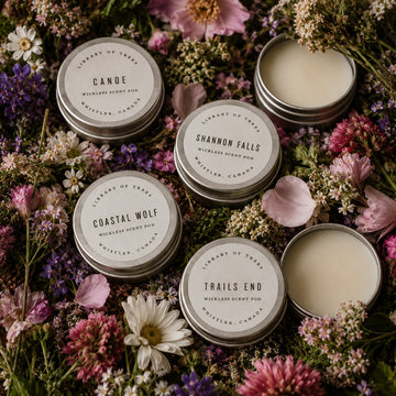 Round wickless scent pod tins with labels, in a discovery set assortment