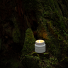 Cathedral Grove  Candle