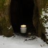 Cathedral Grove  Candle