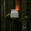 Cathedral Grove  Candle