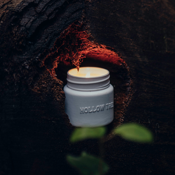 HOLLOW TREE CEDAR CANDLE PLANT DERIVED OILS & ESSENTIAL OILS