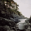 Coastal Wolf - Ceramic Candle