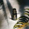 Cathedral Grove diffuser oil bottle amid white mist with leaf shadows in foreground