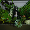 Cathedral Grove diffuser oil bottle nestled in evergreen branches and moss
