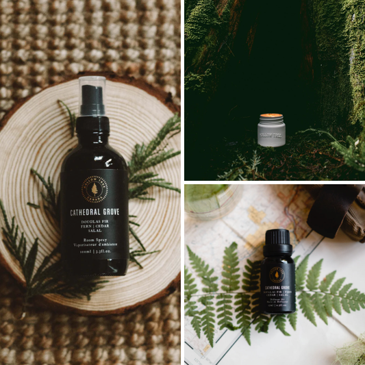 Cathedral Grove - Scent Bundle