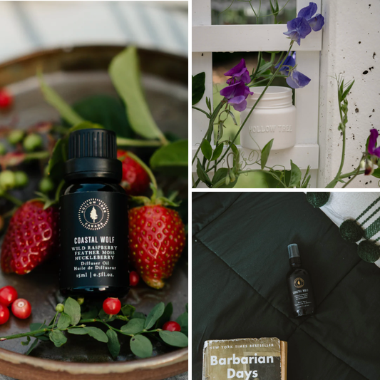 Coastal Wolf - Scent Bundle