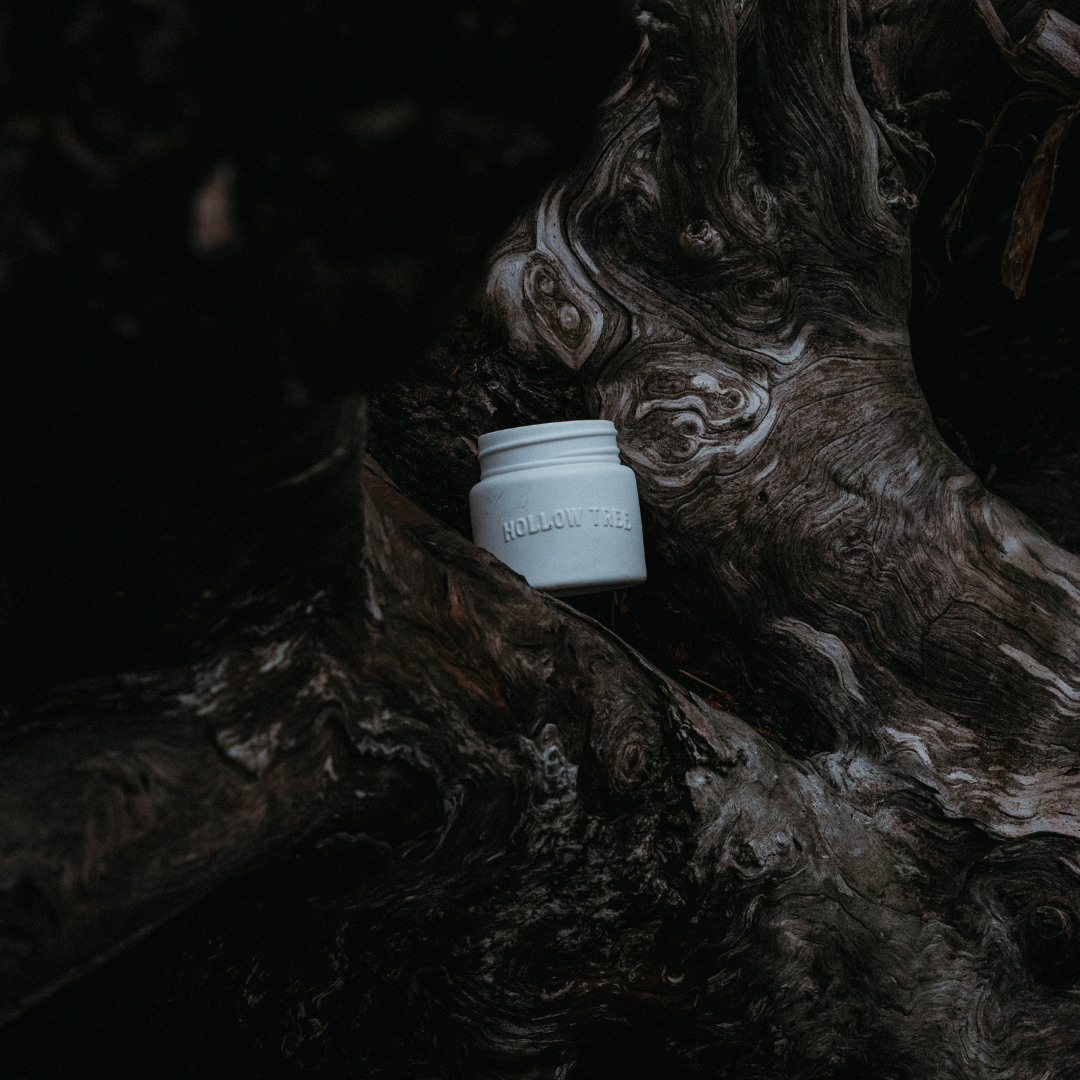 Light blue ceramic candle jar, 'HOLLOW TREE' text visible