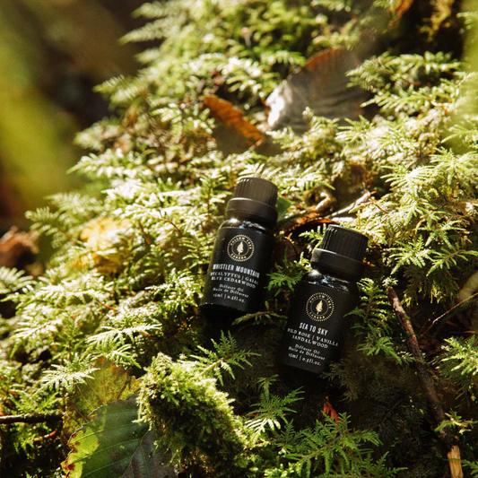 Whistler Mountain - Diffuser Oil