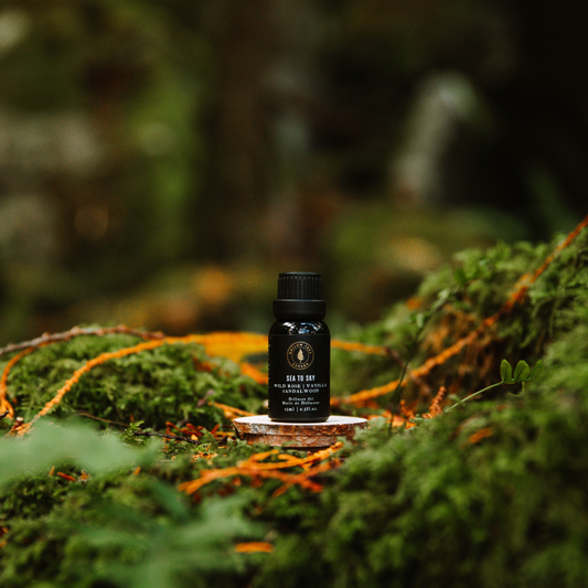 Sea to Sky - Diffuser Oil