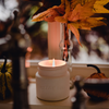 Golden Spruce Candle