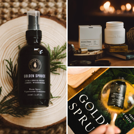 Golden Spruce - Scent Bundle