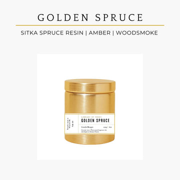 Golden Spruce - Gold Series