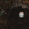Hollow Tree Candle