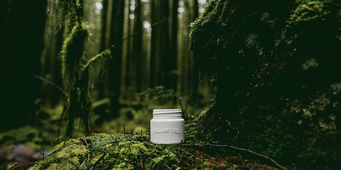 Hollow Tree Candle Co Handmade Candles