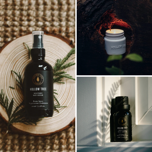 Hollow Tree - Scent Bundle