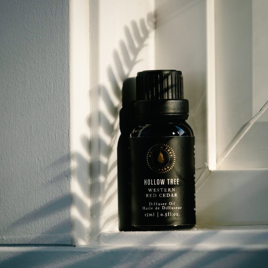 Diffuser OIl - Hollow Tree 