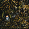 Lichen - Ceramic Candle