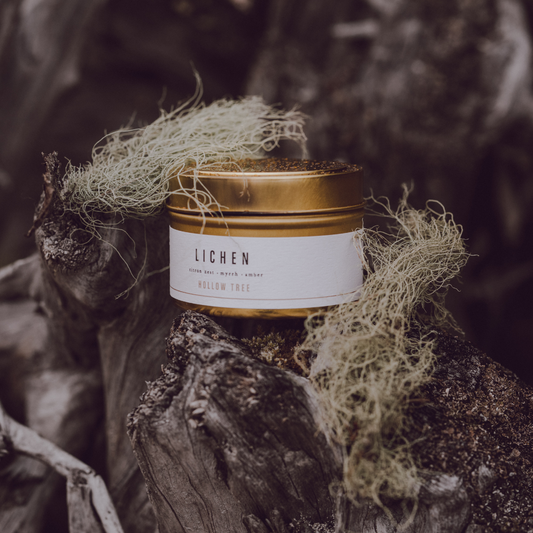 Lichen - Travel Candle
