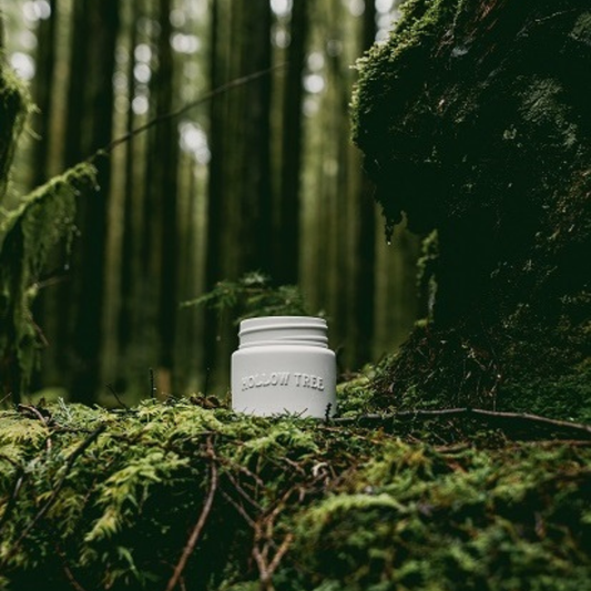 Lone Pine Candle white wax jar candle with 'HOLLOW TREE' label, centered view