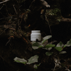 Lone Pine Candle