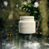 Seedling Candle