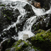 Shannon Falls - Ceramic Candle