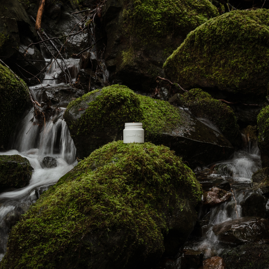 Shannon Falls ceramic candle, small white jar with lid opening and embossed “HOLLOW TREE”