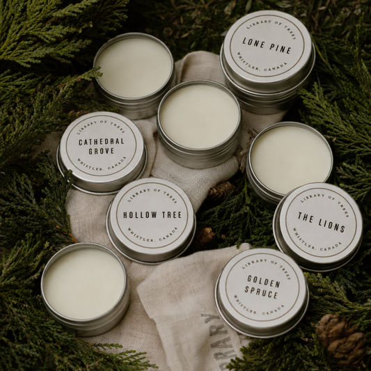 Open scent pod tins with labels: Cathedral Grove, Hollow Tree, The Lions, Golden Spruce