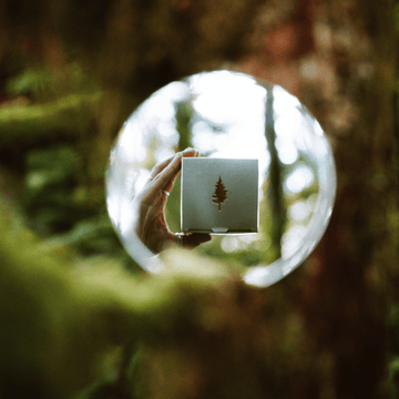 SQUAMISH MARKET 2026