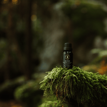 Sea to Sky - Diffuser Oil