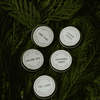 Discovery set of tree-scent tin jars with round labels arranged on green leaves.