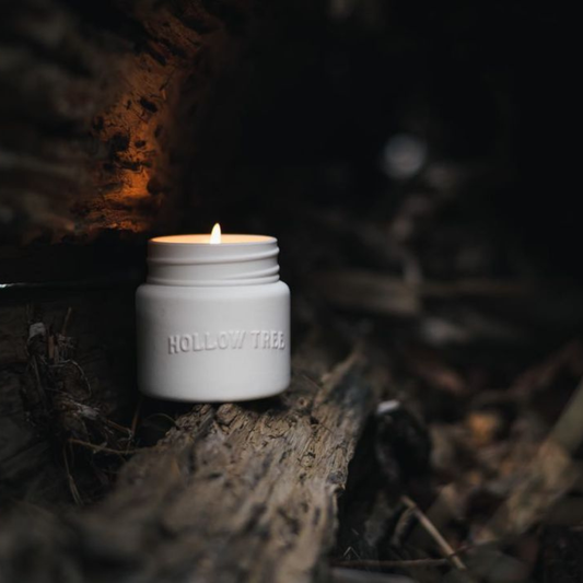 Trails End ceramic candle jar with lit wick, embossed 'HOLLOW TREE' on off-white lid.