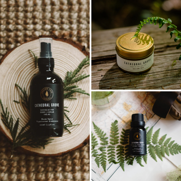 Cathedral Grove - Travel Scent Bundle