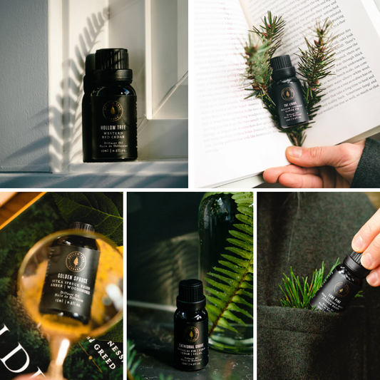 Library of Trees - Diffuser Oil Bundle (Set of 5)