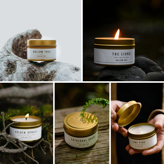 Library of Trees Series - Travel Candle Bundle