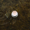 Lichen - Ceramic Candle